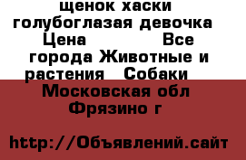 щенок хаски  голубоглазая девочка › Цена ­ 12 000 - Все города Животные и растения » Собаки   . Московская обл.,Фрязино г.